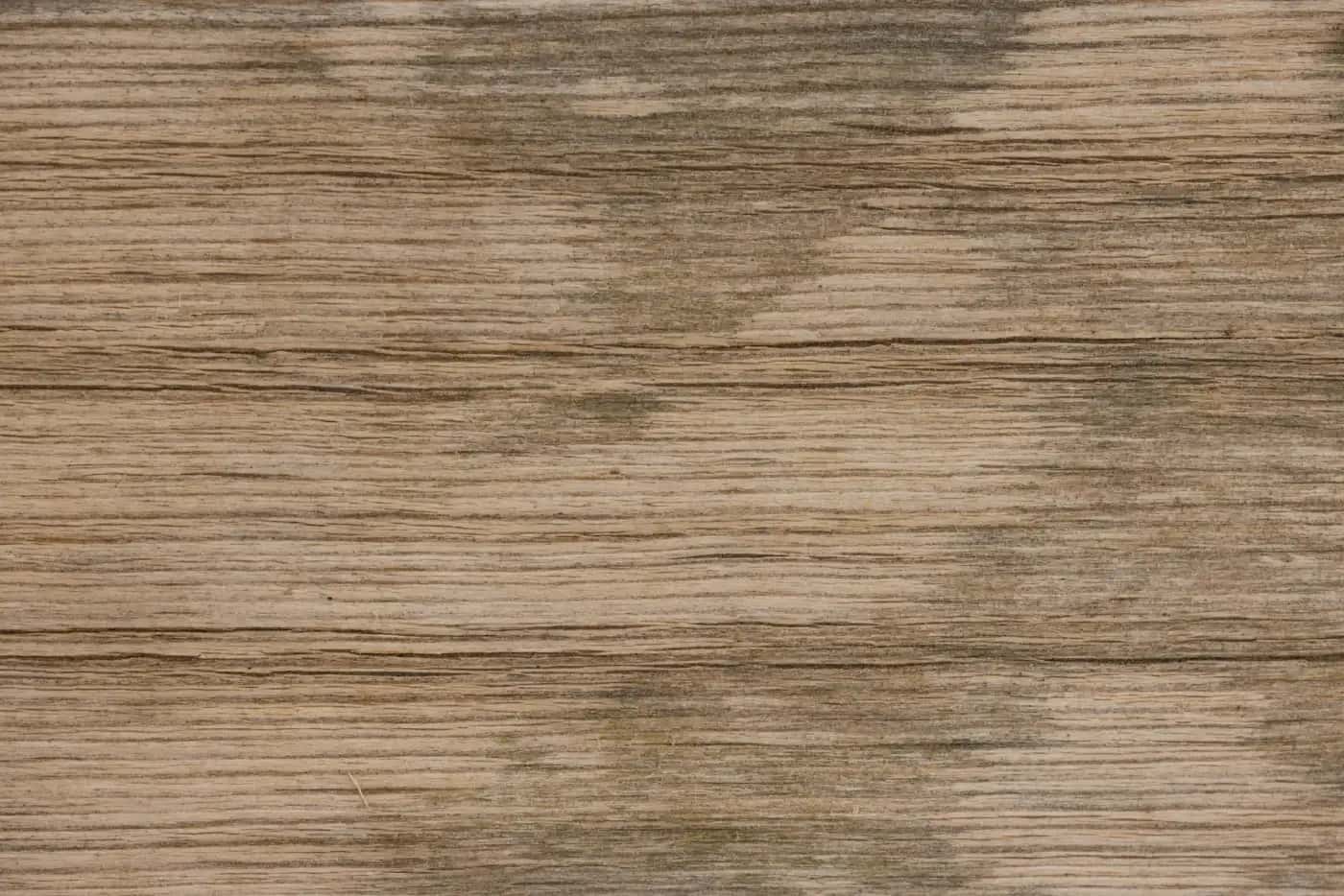 Oak floorboards