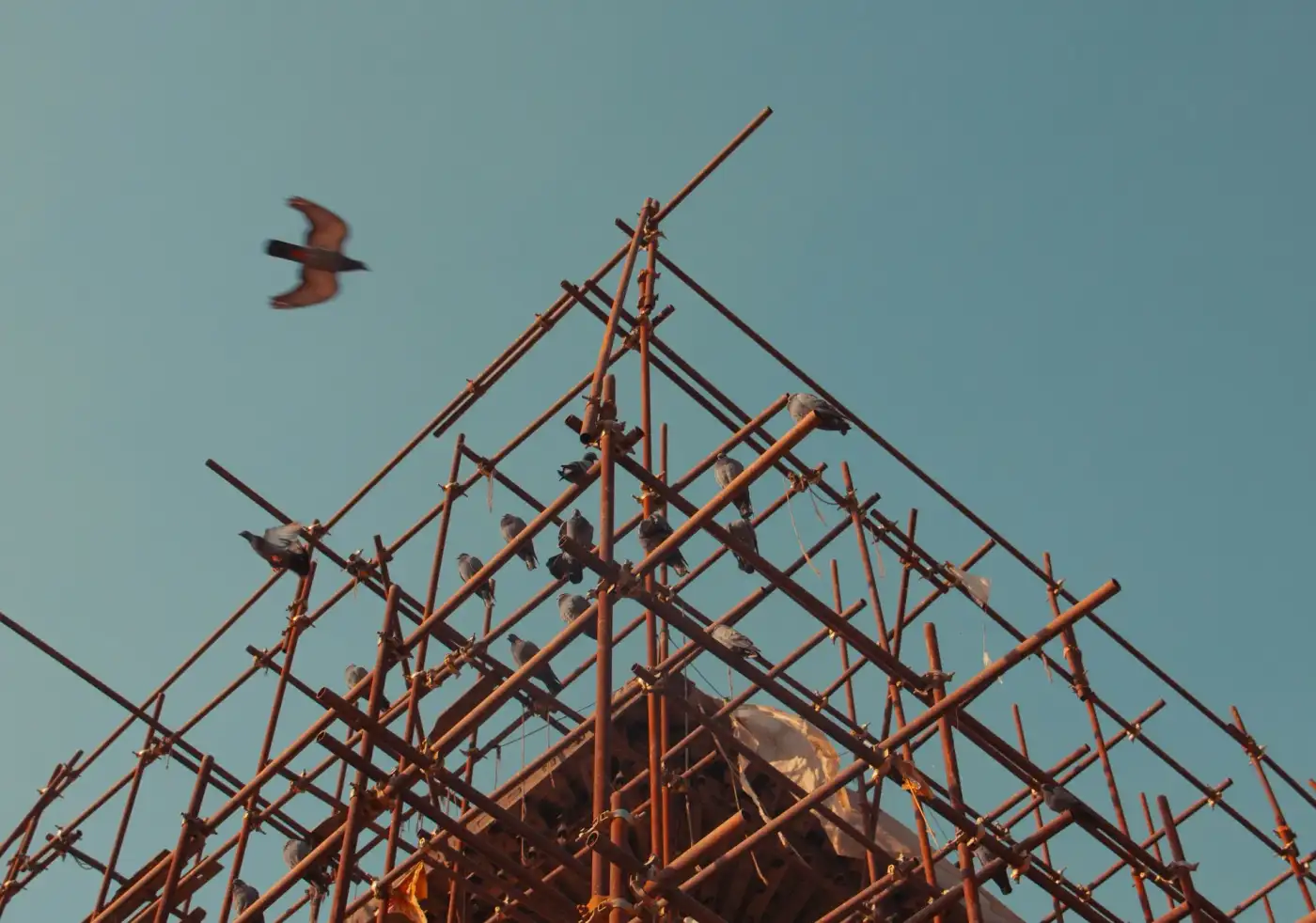 Scaffold at sunset